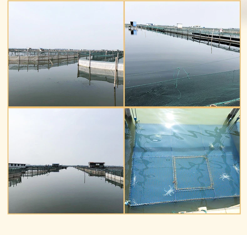 阳澄湖生态养殖水面实景
